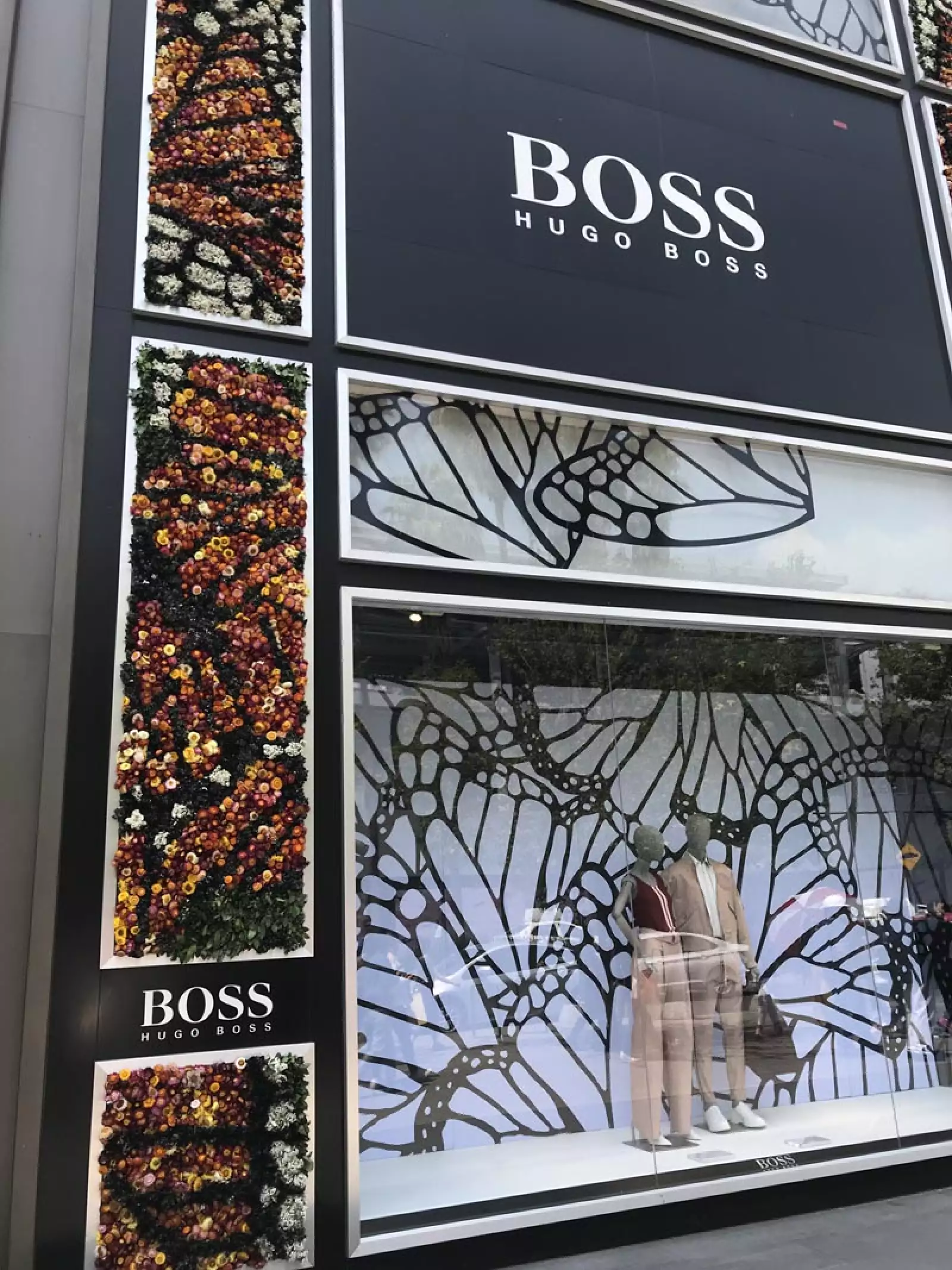 Boss-Polanco-En-Flores