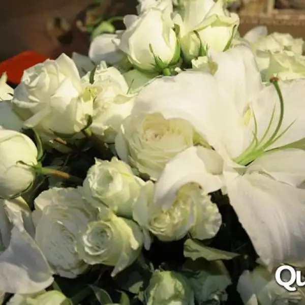 Fiesta de Leonora Tovar López Portillo y Gerardo Díaz Ordaz