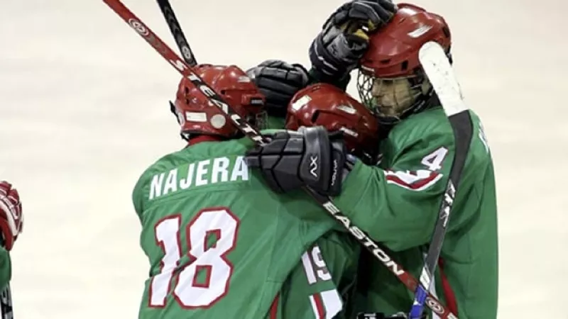 Hockey sobre hielo