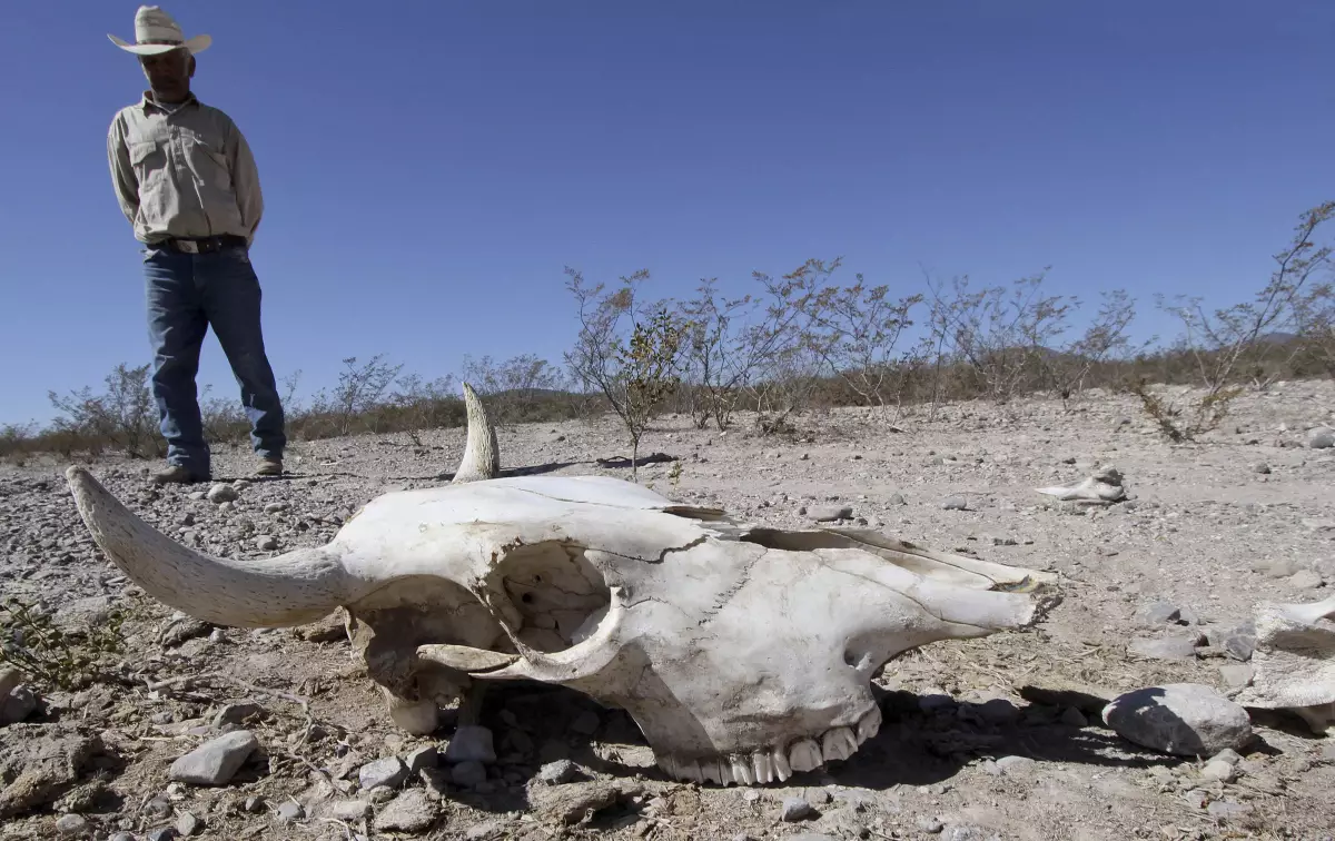 Cambio climático