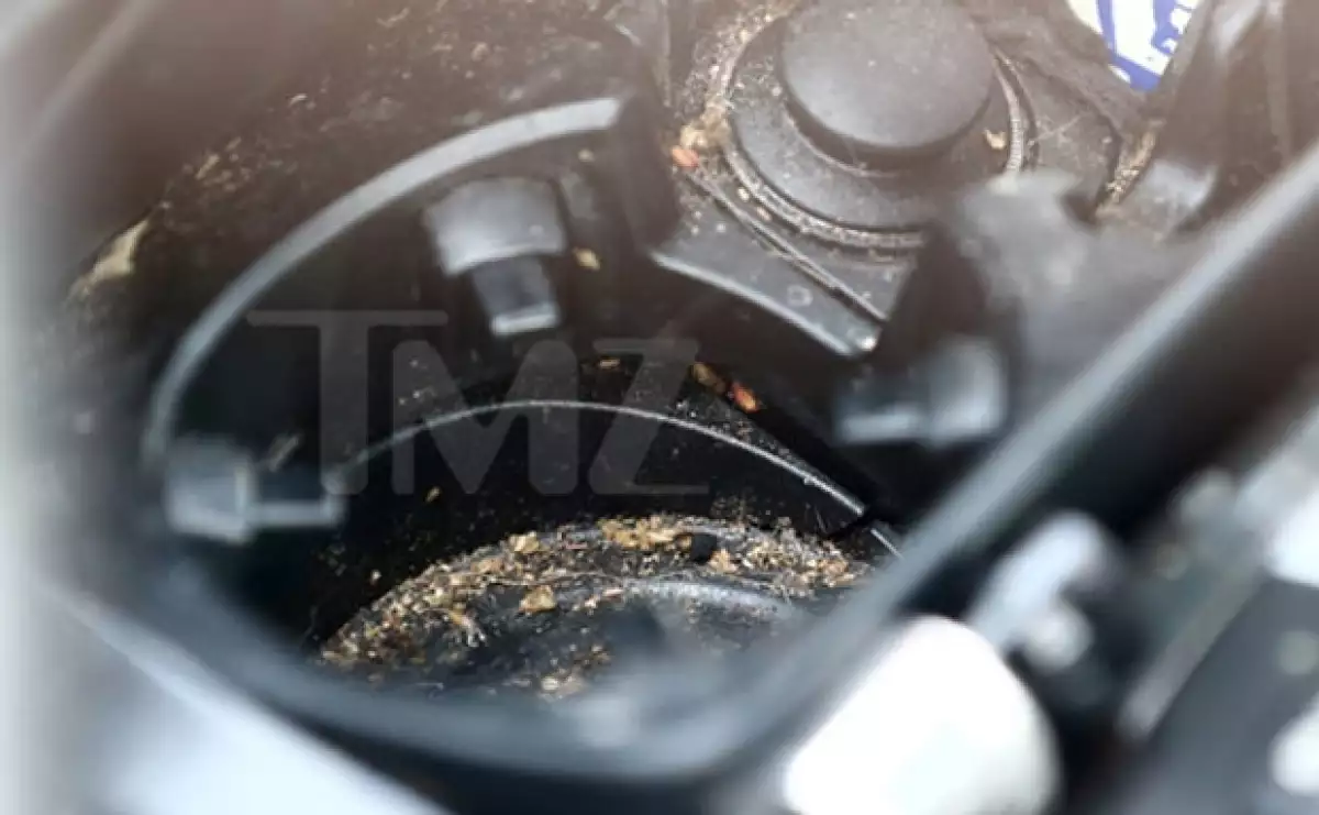 La actriz fue fotografiada mientras estaba en su auto aspirando sustancias prohibidas; por si fuera poco, ella no puede manejar debido a que no cuenta con una licencia.
