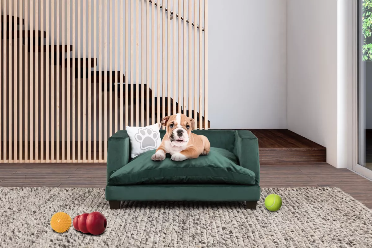 mobiliario de mascotas