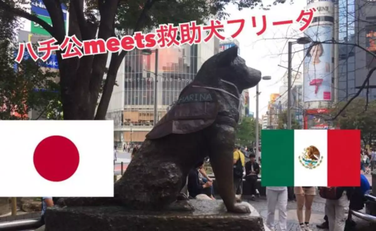 Hachiko.