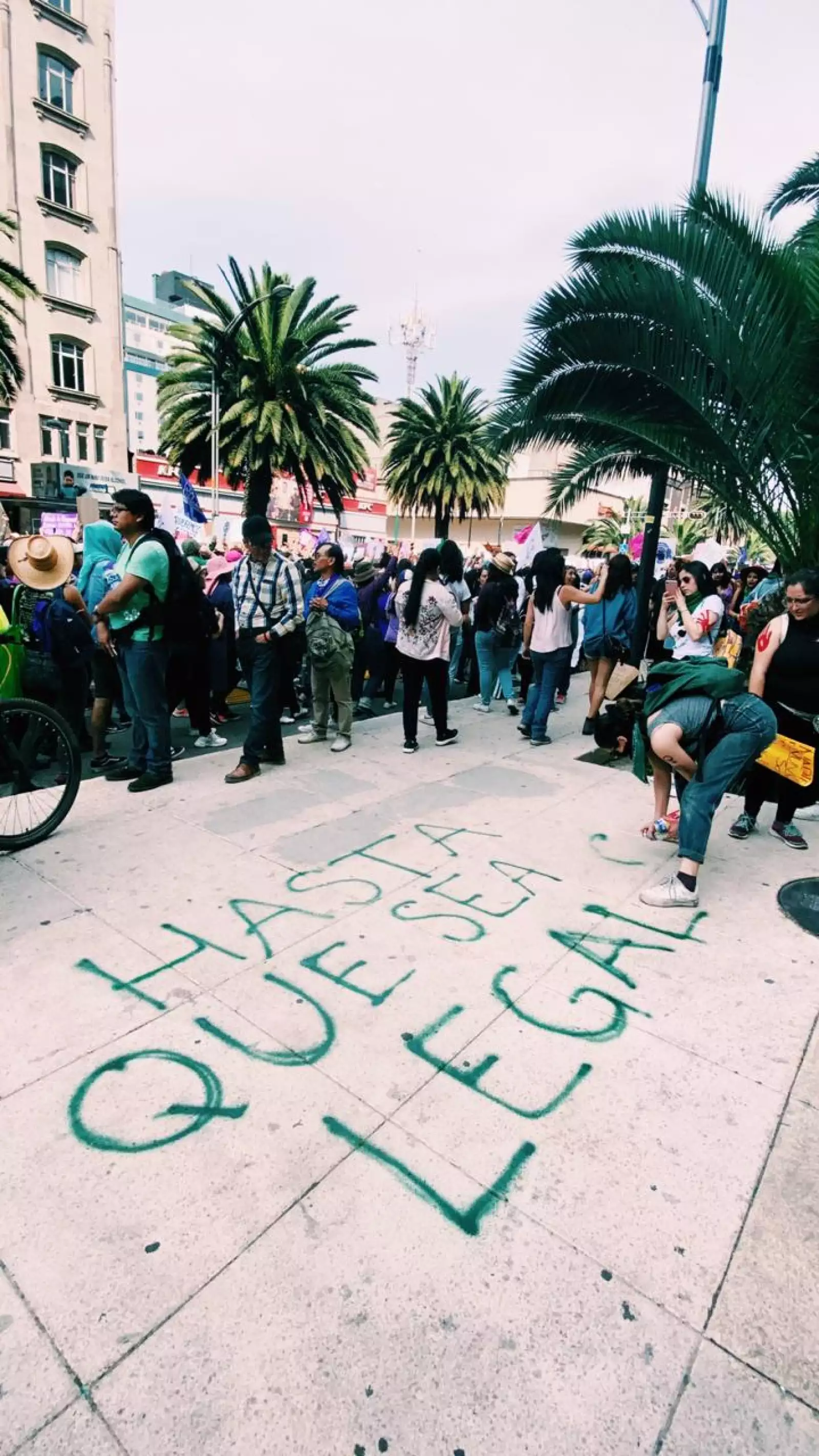 WhatsApp Image 2020-03-08 at 7.31.10 PM (3)