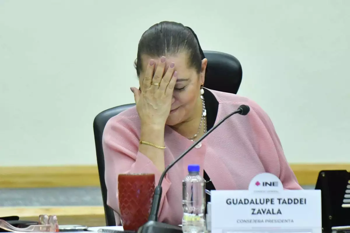 Sesión Extraordinaria INE