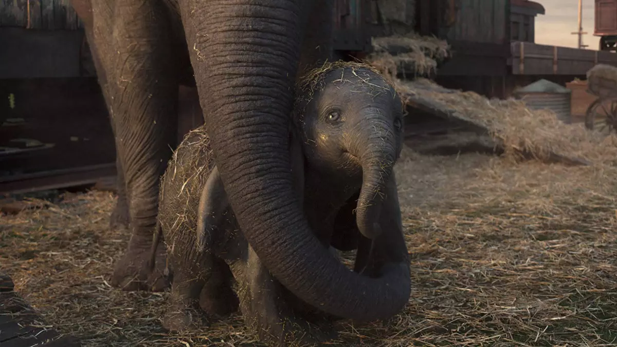 dumbo.jpg