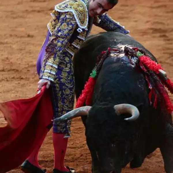 11a Corrida de Toros