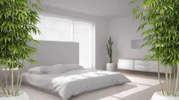 Recamara con cama, venta, tonos blancos y plantas
