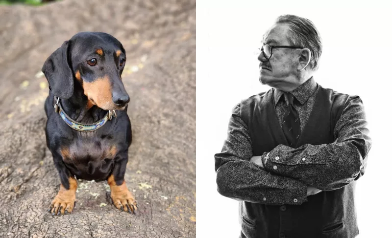 Polémica de Pedro Sola impulsa ley: promover maltrato animal podría costar hasta cuatro años de cárcel