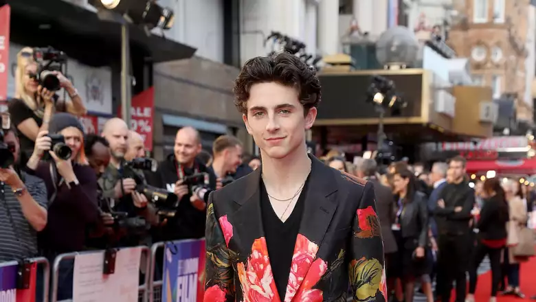 "Beautiful Boy" UK Premiere -  62nd BFI London Film Festival