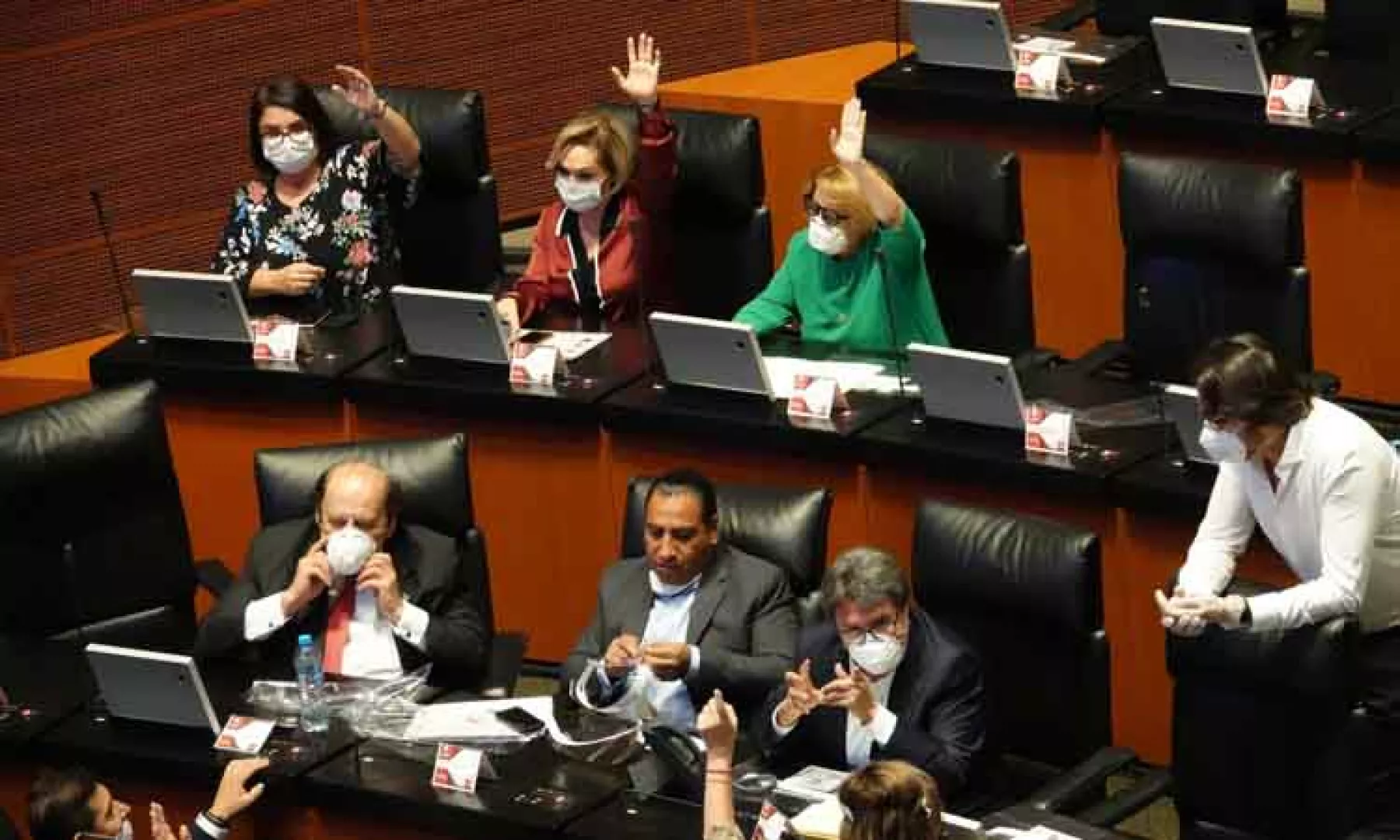 Ley-de-Amnistia-Senado.jpeg