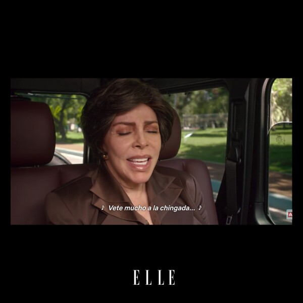La-Casa-De-Las-Flores-Meme-ELLE-11