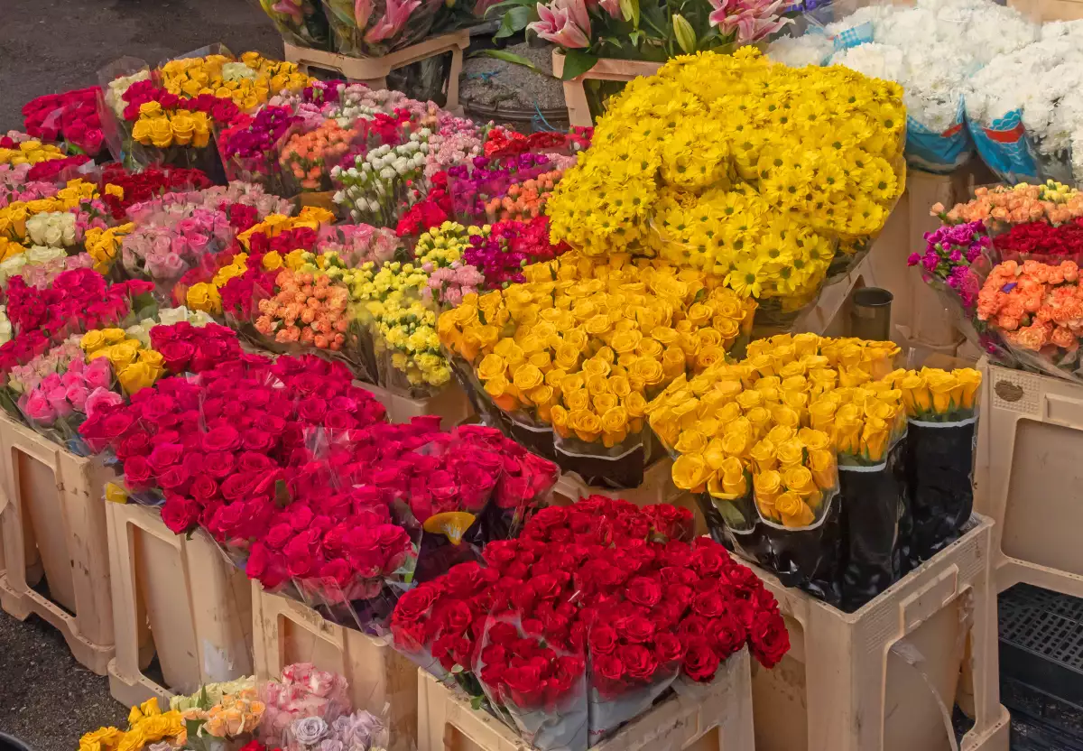 mercados-de-flores-cdmx