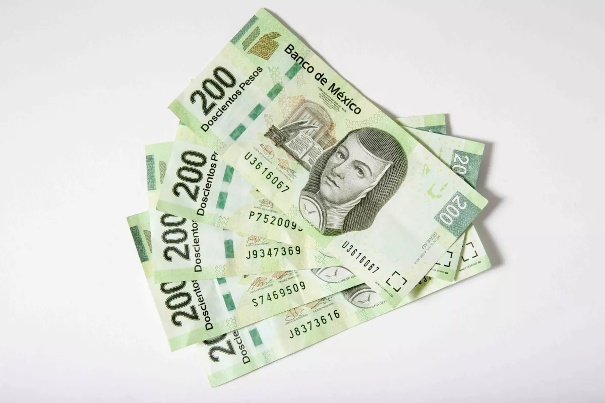 Cetes dan menos rendimientos en la última semana de enero: cuánto se gana al invertir 