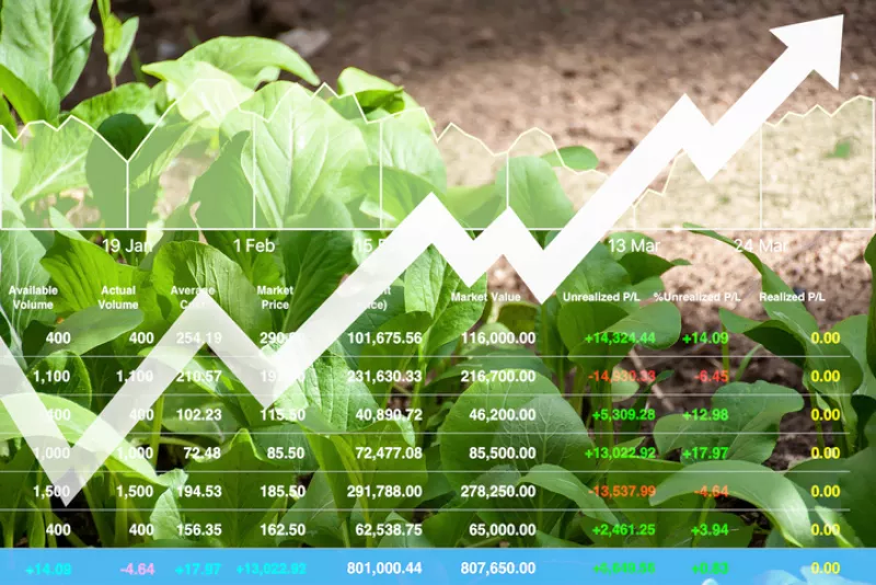 Gráficas y tablas financieras con plantas de al fondo.