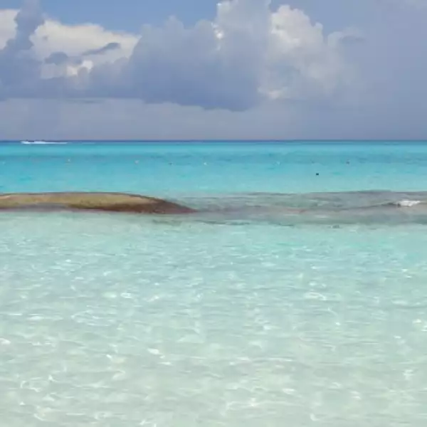 irpt-playadelcarmen3