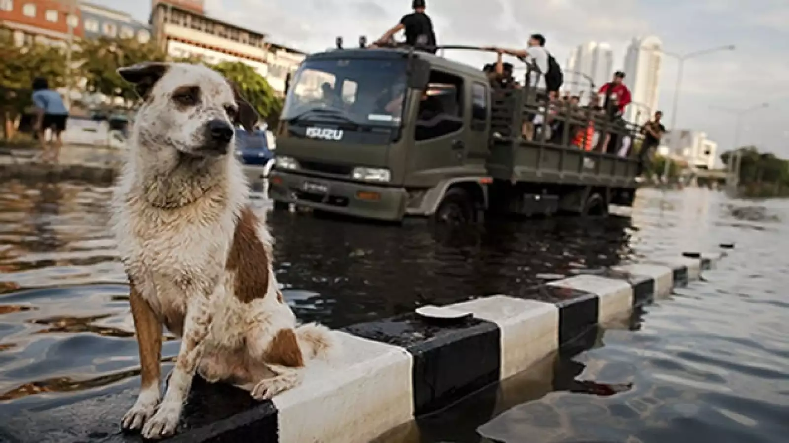 tailandia inundaciones 