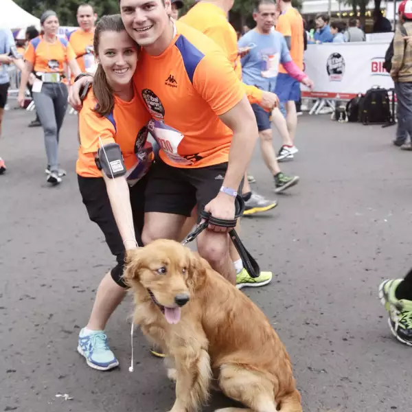 Carrera Global Energy Bimbo