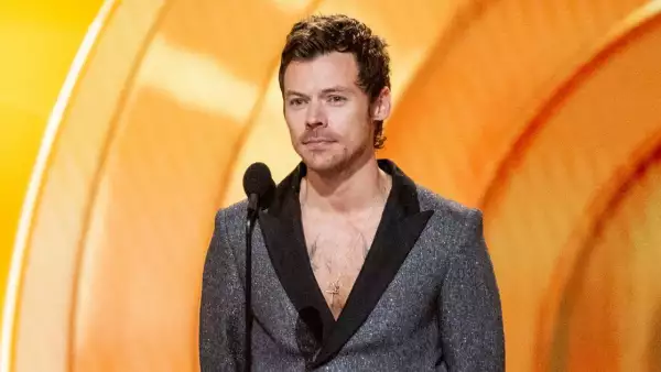 Harry-Styles-calvicie-peluquin