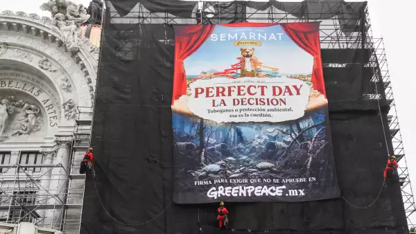 Greenpeace Bellas Artes