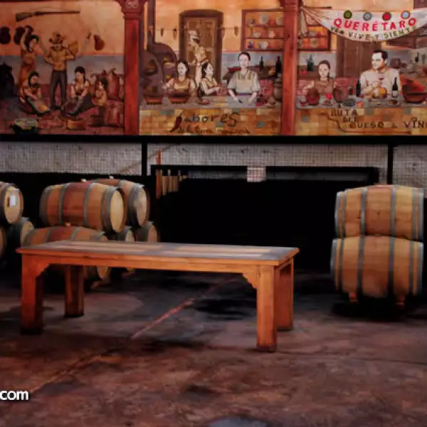 Viñedo Anáhuac