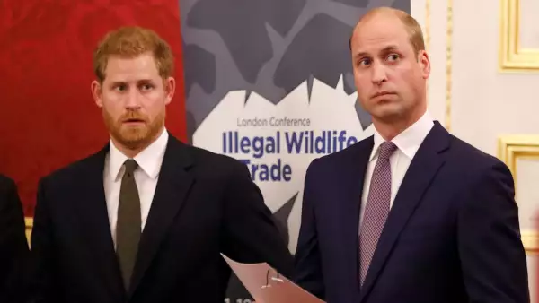 The Duke Of Cambridge Attends The 2018 Illegal Wildlife Trade Conference