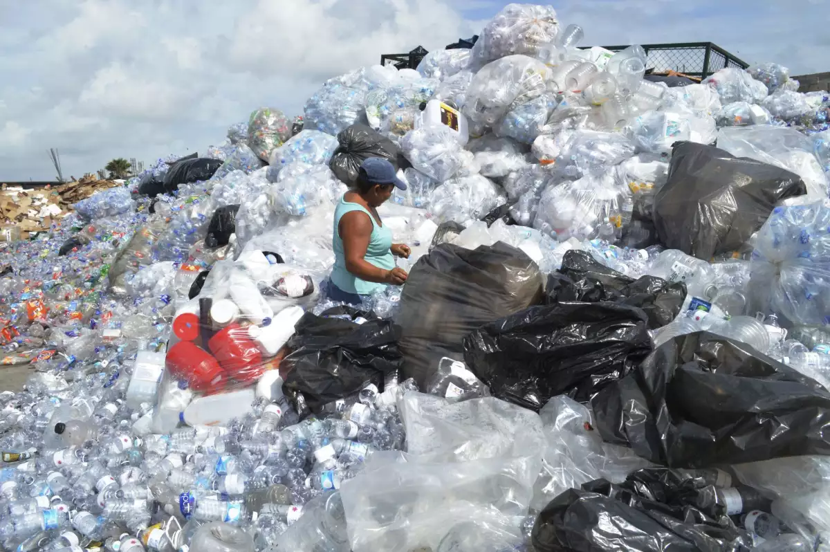 Reciclaje PET-1.jpg