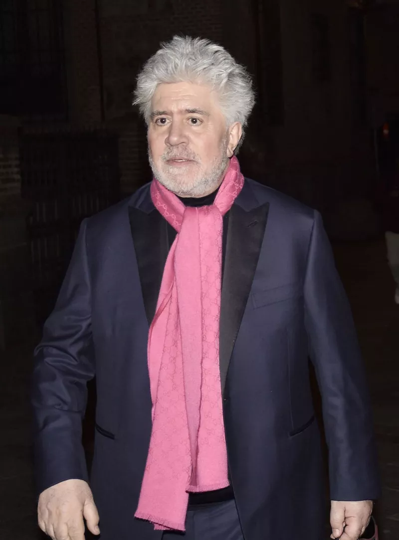 Premiere Of 'Dolor Y Gloria'- After Party