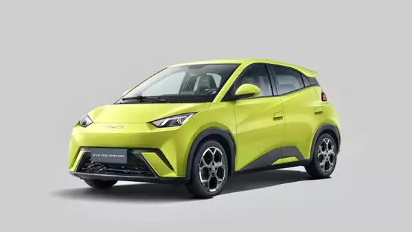 1-BYD Dolphin.jpeg