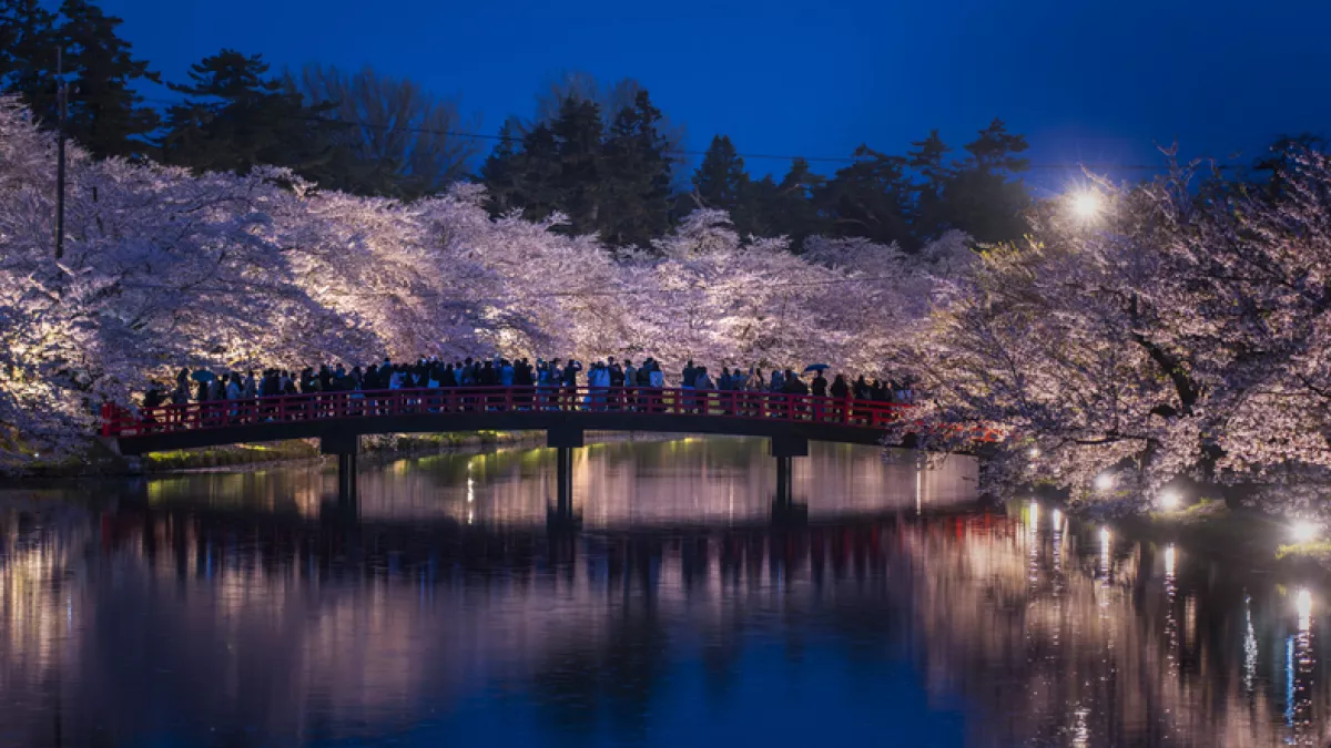 Silhouette of tourist on Shunyo bridge in Hirosaki park