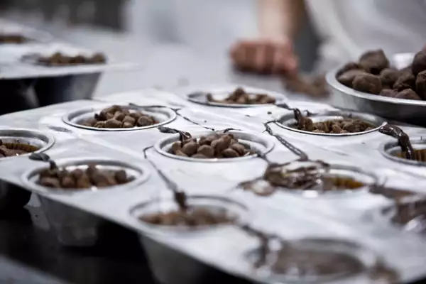 Starbucks sabe que un delicioso café siempre va acompañado de un exquisito snack, por ello sigue innovando al contar con nuevos lanzamientos en su categoría de alimentos.