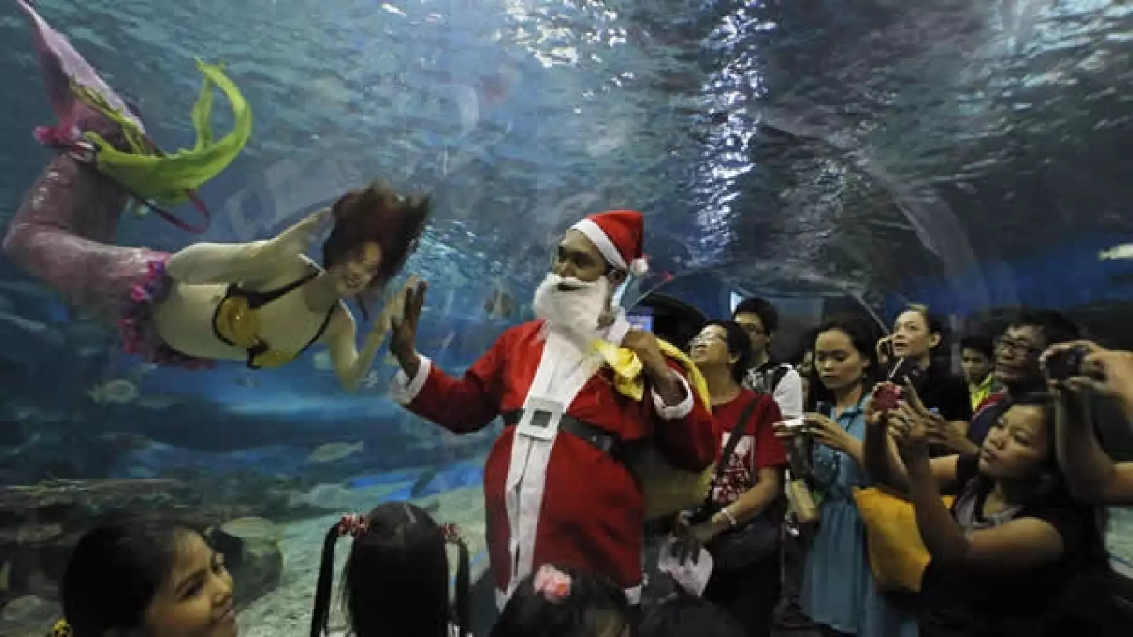 Navidad turistas acuario