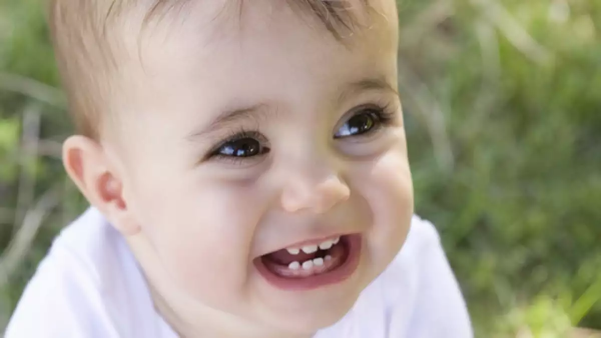dientes bebe niño
