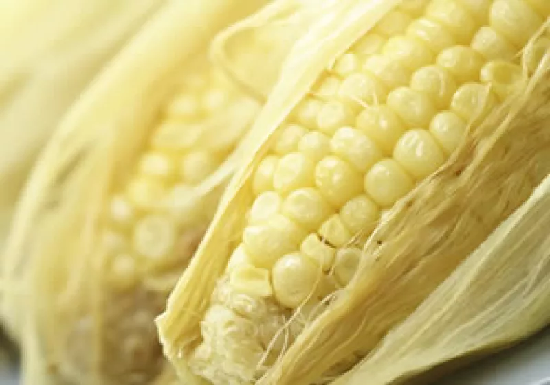 Los costos del maíz han elevado el precio de tortilla desde el segundo semestre del 2010. (Foto: Photos to Go)