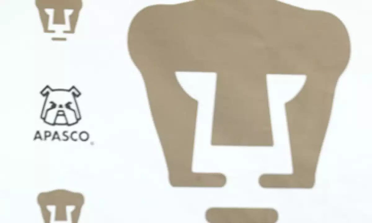 Holcim determinó que los Pumas eran el equipo ideal para promocionarse tras diversos análisis de la firma. (Foto: Notimex)