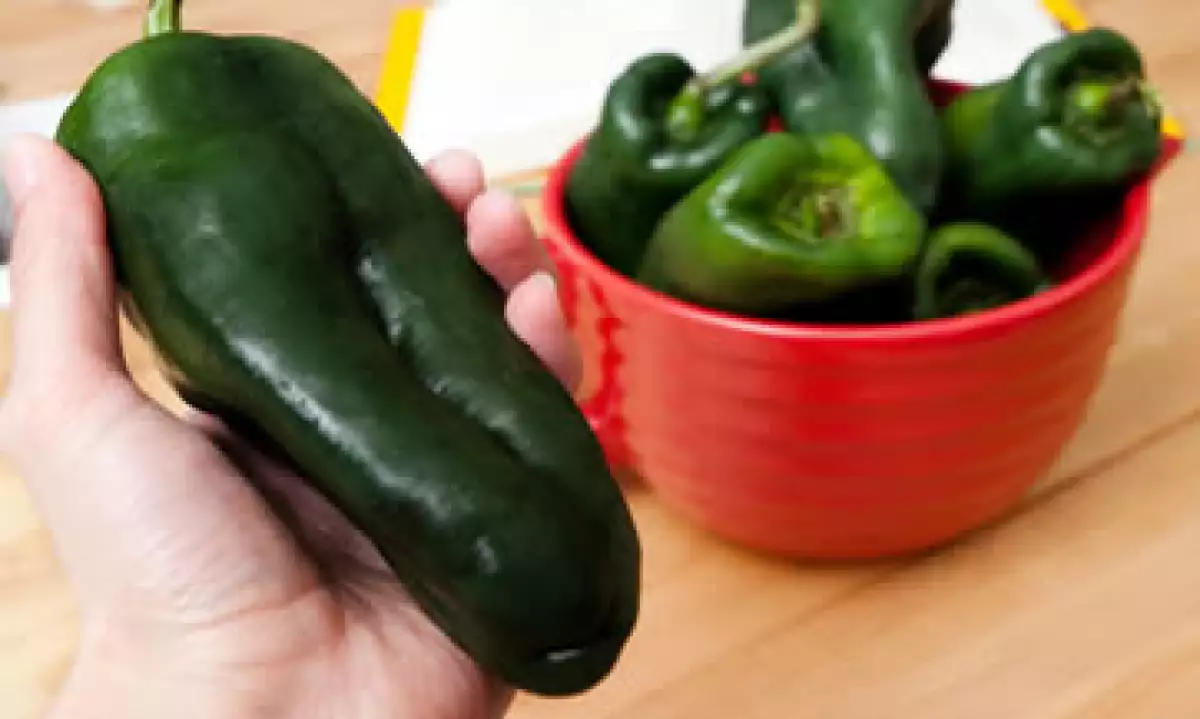 Además del chile poblano, el aguacate está entre los productos que más subieron en abril, según el INEGI. (Foto: Getty Images)