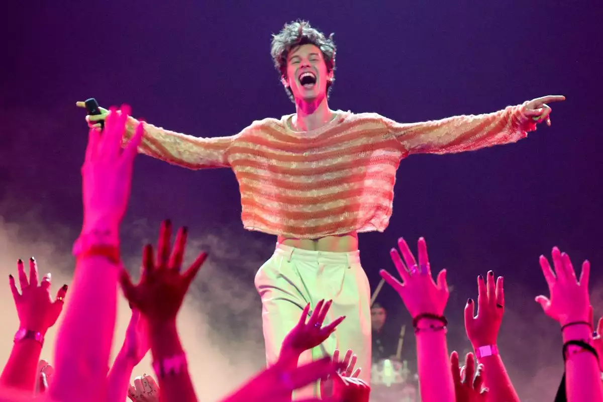 Shawn Mendes ha vivido un proceso revelador al cancelar su tour e ir a terapia