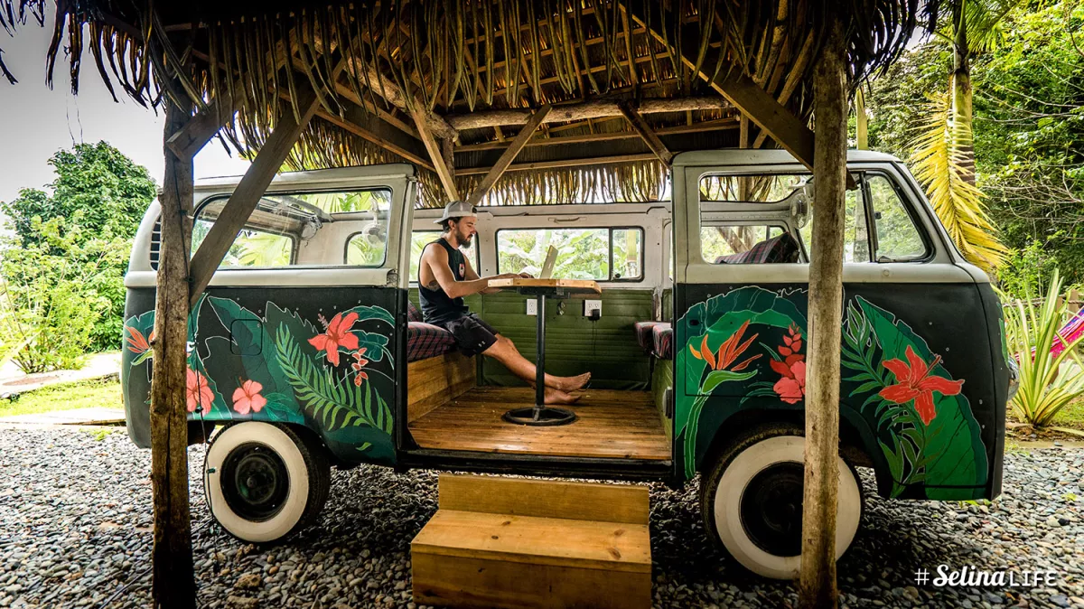 Red Frog, Bocas del Toro, Panamá 