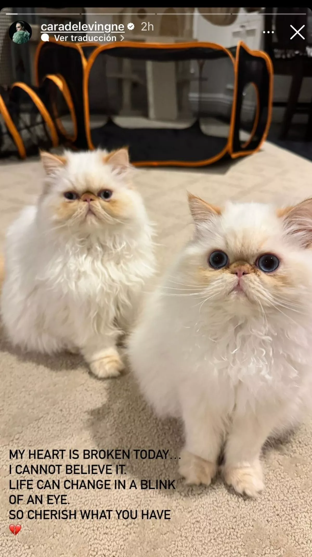 La casa de Cara Delevingne en California queda desecha a causa de un incendio 