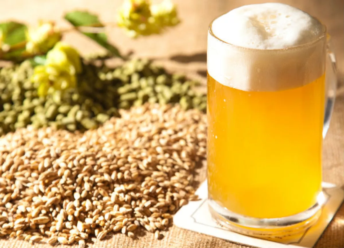 industria cervecera