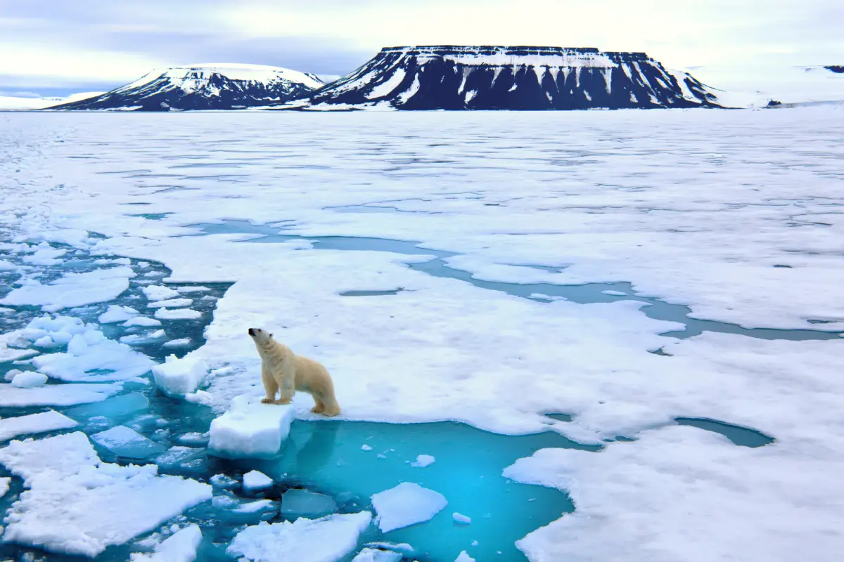 Los bancos centrales enfrentan limitaciones ante el cambio climático