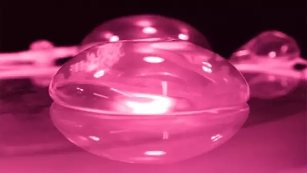 Cancer
