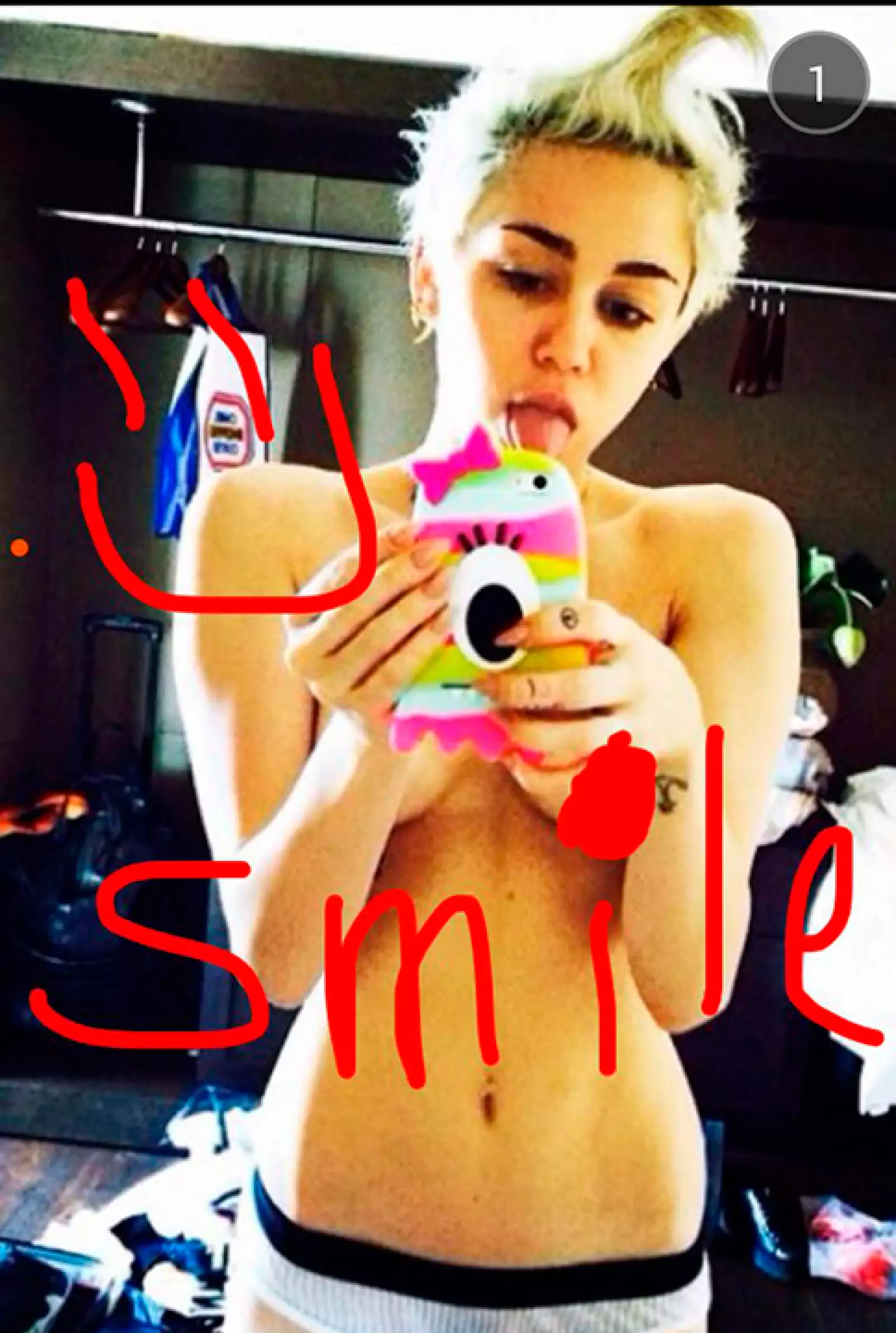 Miley Cyrus comparte en mileyxxcyrus polémicas fotografías semidesnuda y divertidas selfies junto a sus mascotas.