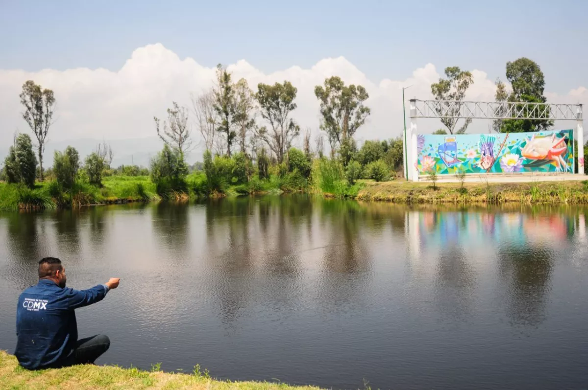 Canales del Parque Ecológico de Xochimilco