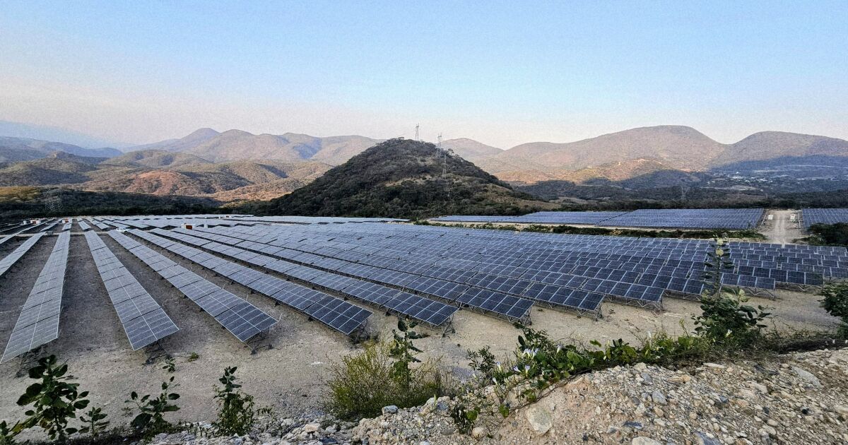 Proyectos de Sheinbaum igualan en renovables lo adjudicado en el sexenio de Peña