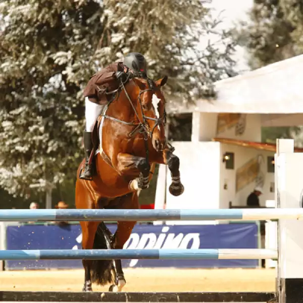 José Antonio Chedraui