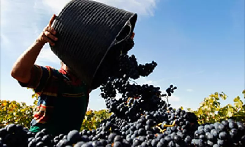 En 2010, el costo de exportación de vinos españoles era de 1.36 dólares por litro, frente a 1.74 dólares por litro en el 2000. (Foto: Cortesía Fortune)