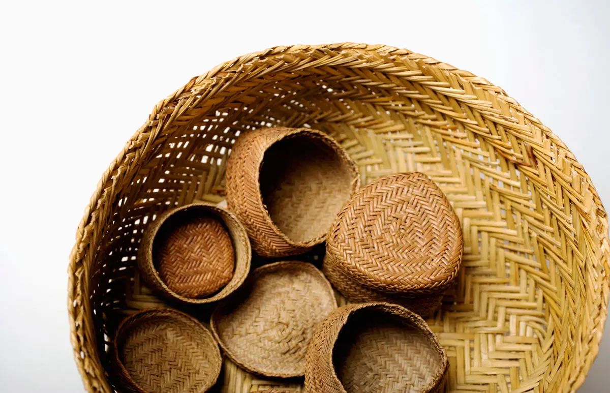 shutterstock_2384737