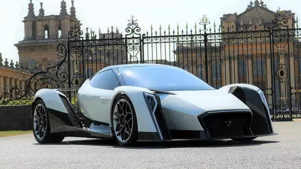 Dendrobium D1 1e.jpg