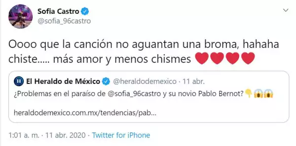 Twitter de Sofía Castro